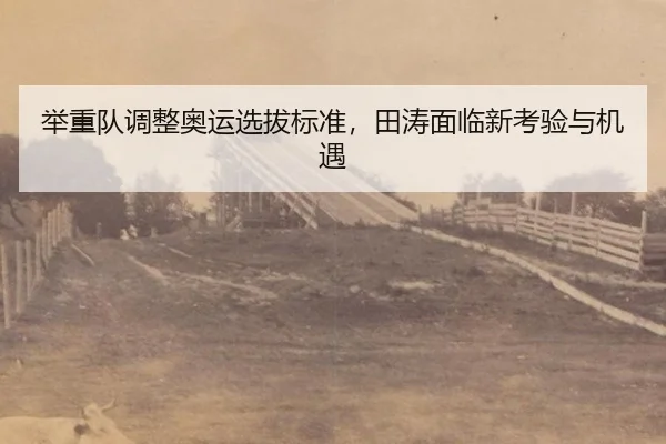 举重队调整奥运选拔标准，田涛面临新考验与机遇