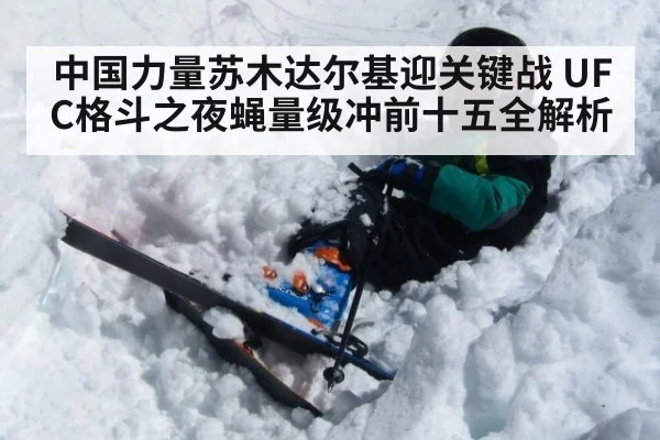 中国力量苏木达尔基迎关键战 UFC格斗之夜蝇量级冲前十五全解析